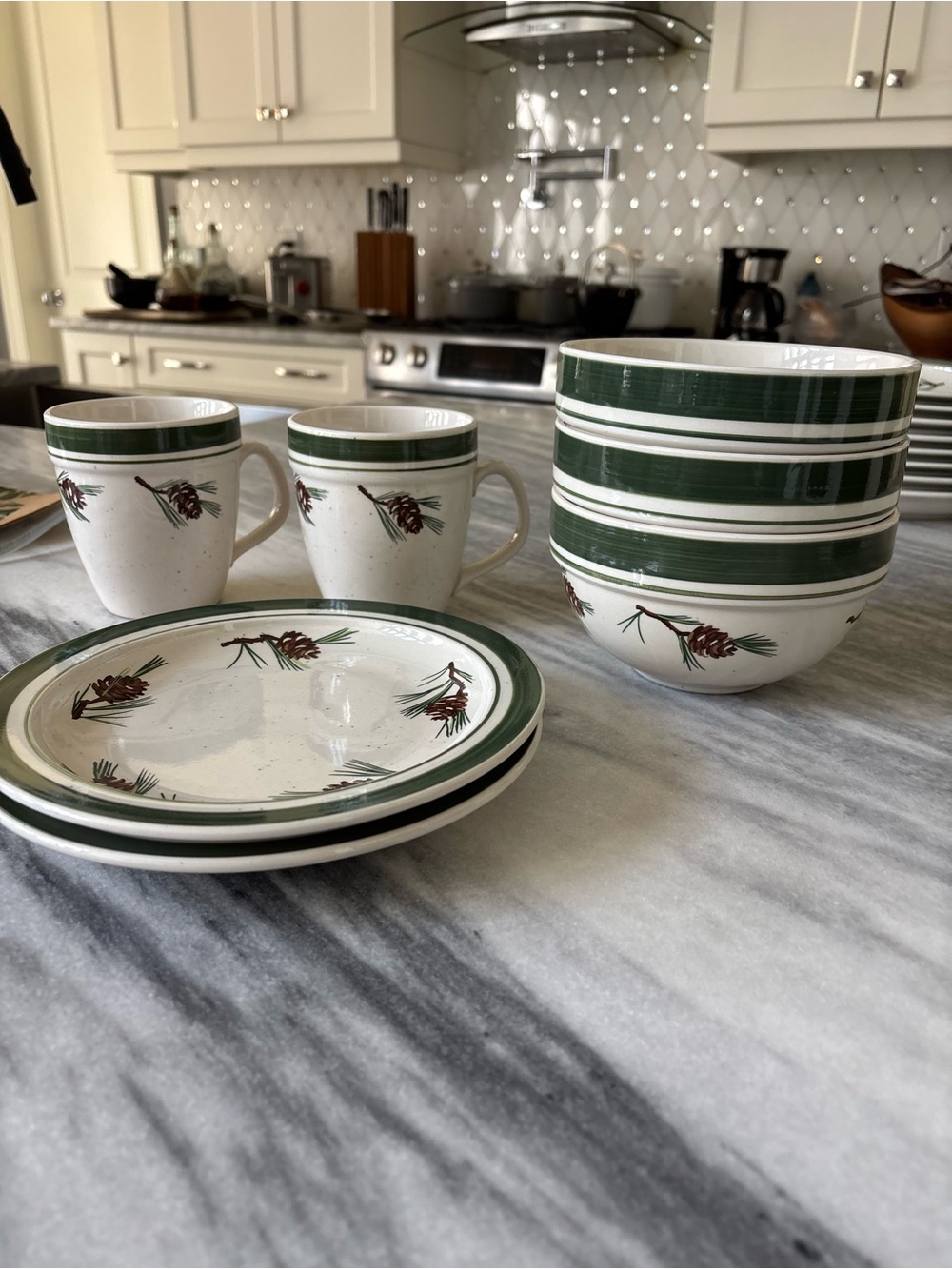 Cabela's Green and White Pinecone Stoneware Dinnerware Set 2008 winter read ad